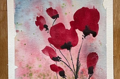 Poppies all time favorites flowers