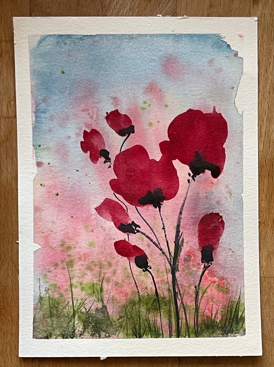 Poppies all time favorites flowers
